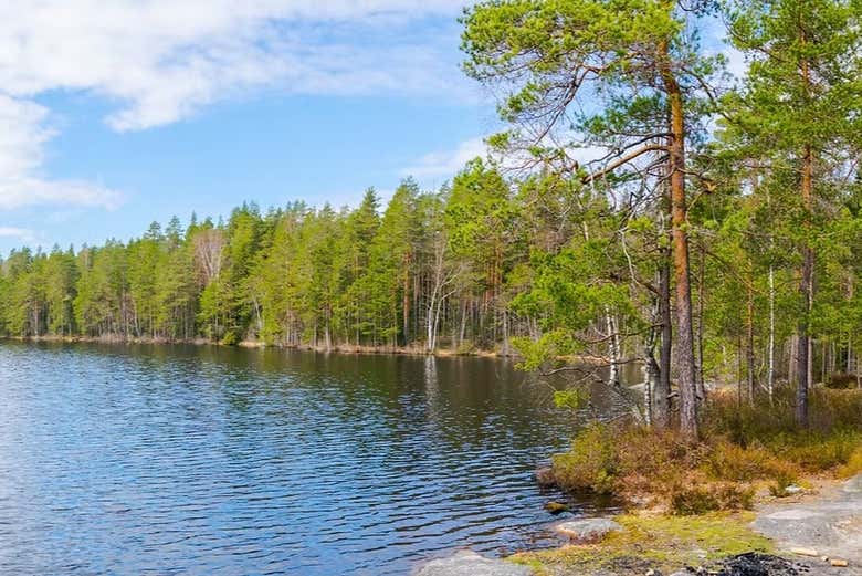Trekking por el Parque Nacional Nuuksio