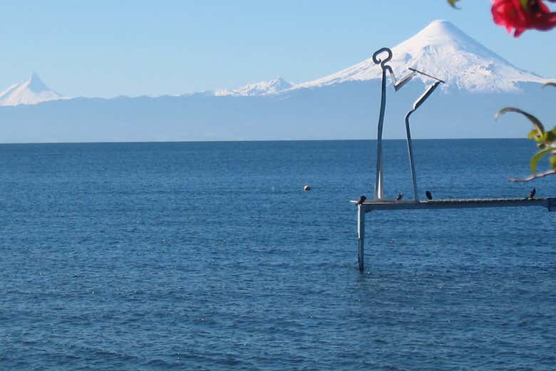 Excursión a Frutillar - Galería 1