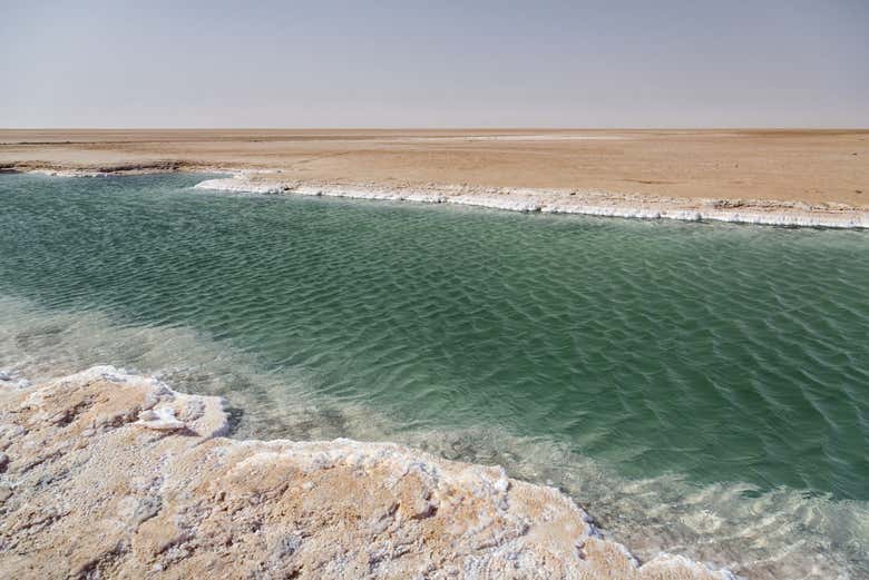 Excursión privada de 2 días a El Djem, Douz y Kairuán