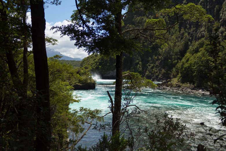 Excursión a los Saltos de Petrohué y volcán Osorno - Galería 2