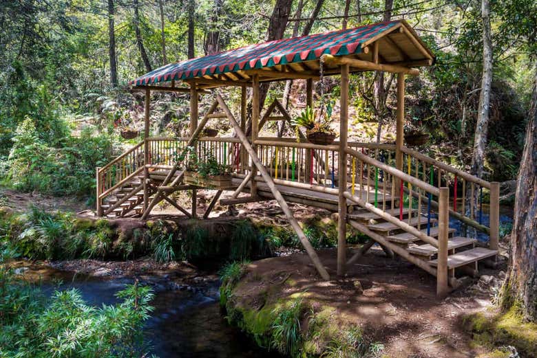 Excursión al Parque Arví