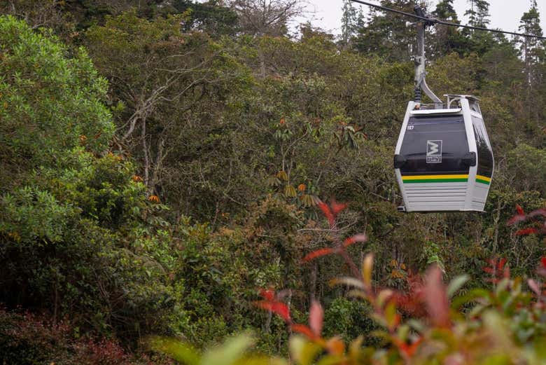 Excursión al Parque Arví