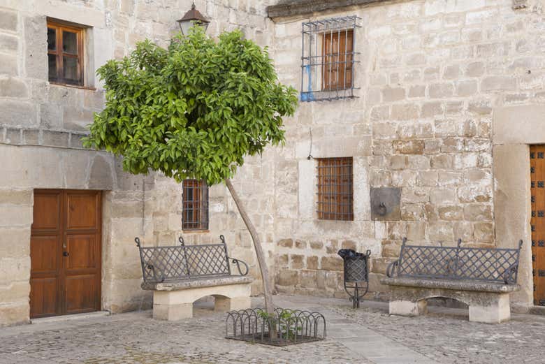 Tour privado por Úbeda
