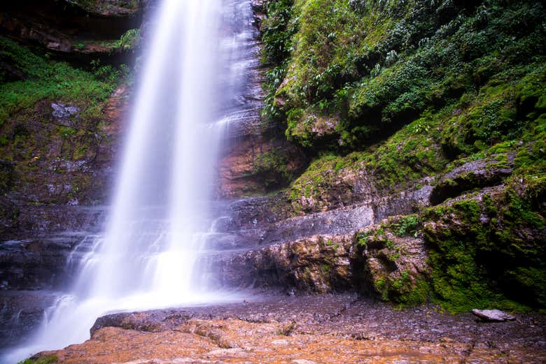 Excursión al Parque Ecológico Cascadas de Juan Curi
