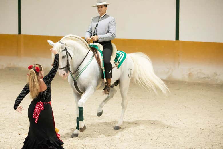 Espectáculo ecuestre en El Ranchito