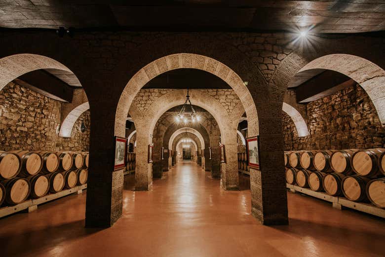 Visita a las bodegas Franco-Españolas