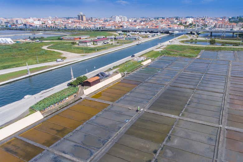 Paseo en barco por la ría de Aveiro