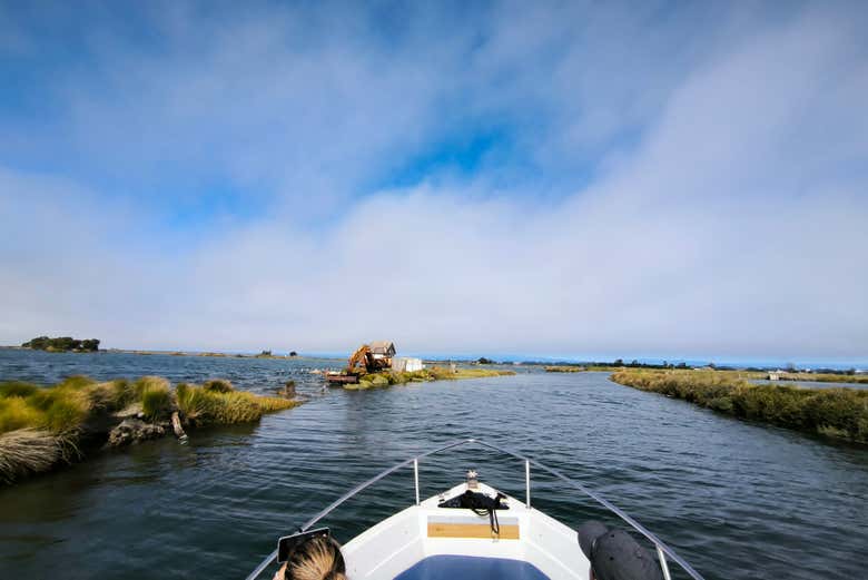 Paseo en barco por la ría de Aveiro