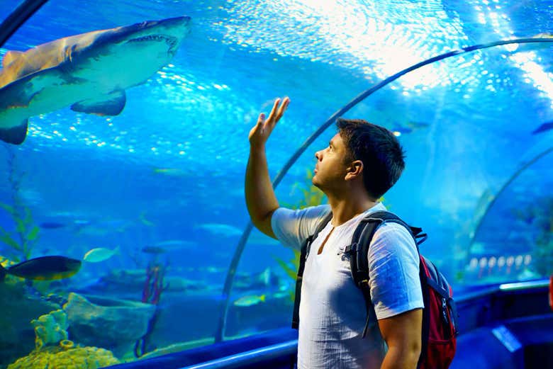 Entrada al Acuario de Gijón