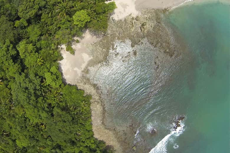 Tour por el Parque Nacional Manuel Antonio con entradas