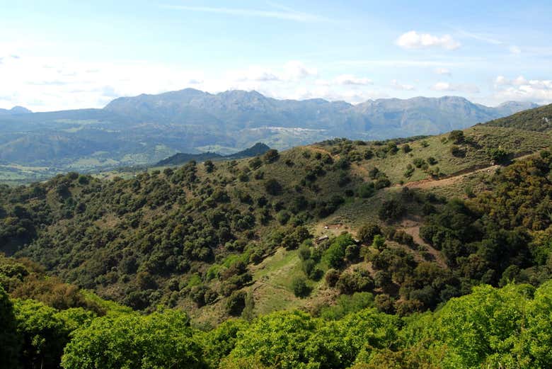 Tour en bicicleta eléctrica por los montes de Marbella