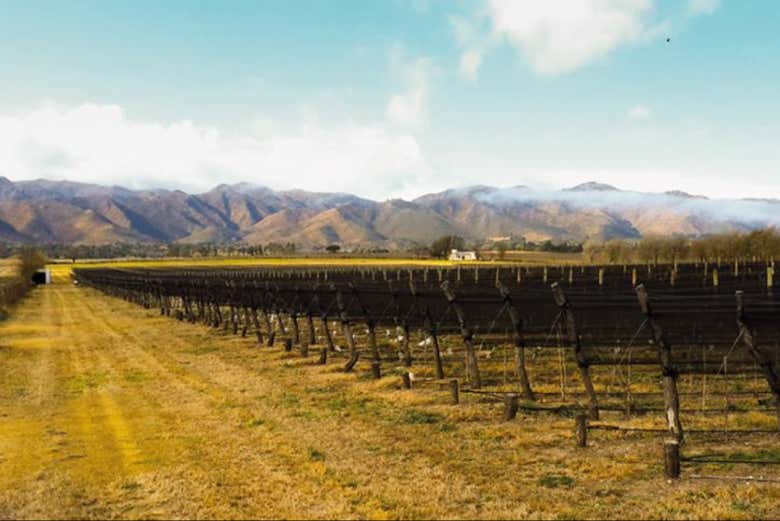 Excursión a las bodegas del Valle de Calamuchita