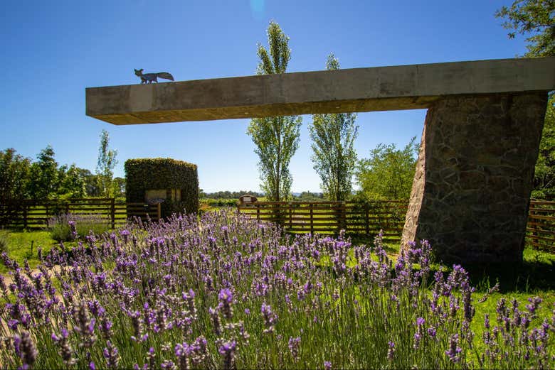 Excursión a las bodegas del Valle de Calamuchita