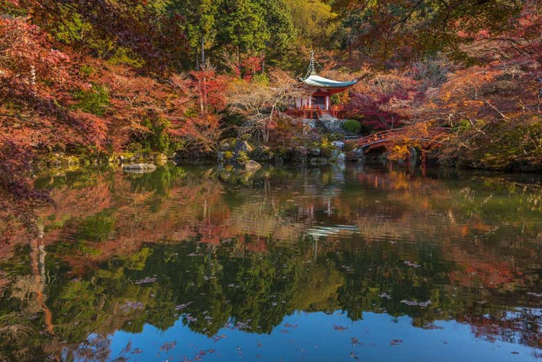 Excursión privada a Miyajima - Galería 1