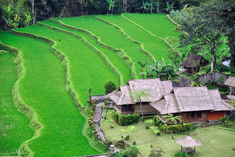 Traslado hasta Bali en lancha rápida