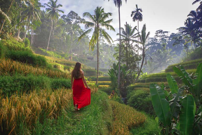 Traslado hasta Bali en lancha rápida