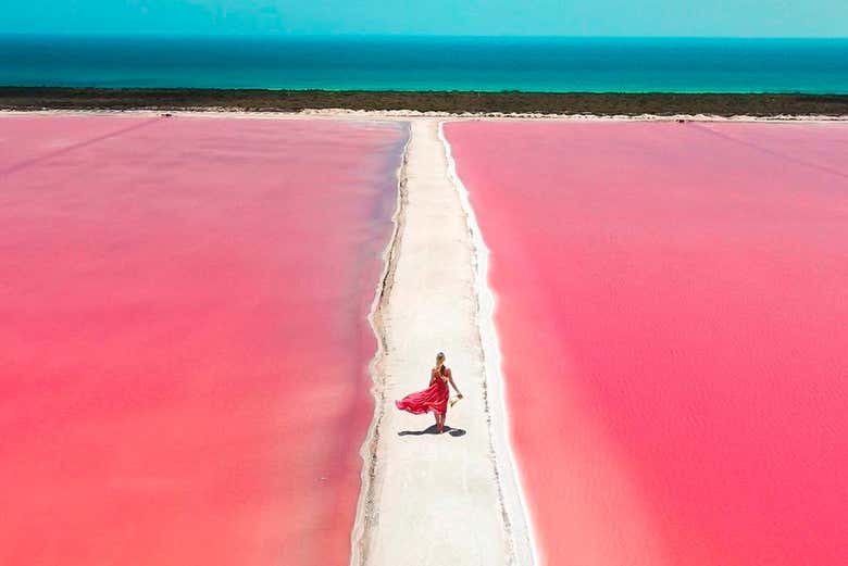 Excursión a Las Coloradas