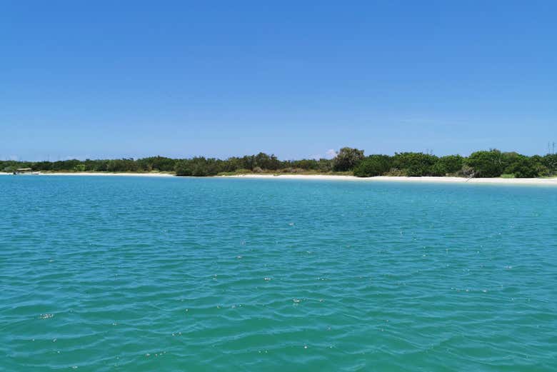 Excursión a Las Coloradas