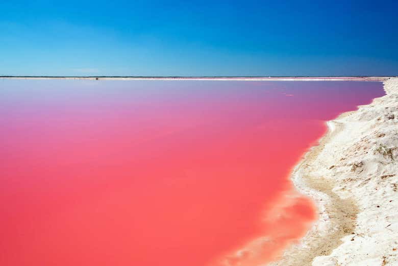 Excursión a Las Coloradas y río Lagartos - Galería 1