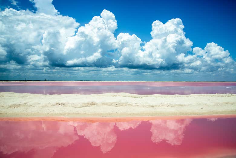 Excursión a Las Coloradas y río Lagartos - Galería 2