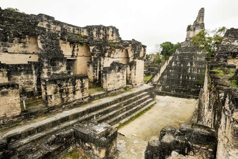 Excursión de 2 días a Tikal y Yaxhá en avión - Galería 1