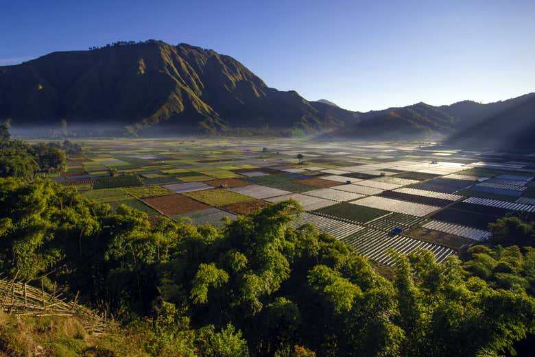 Traslado hasta Lombok en lancha rápida