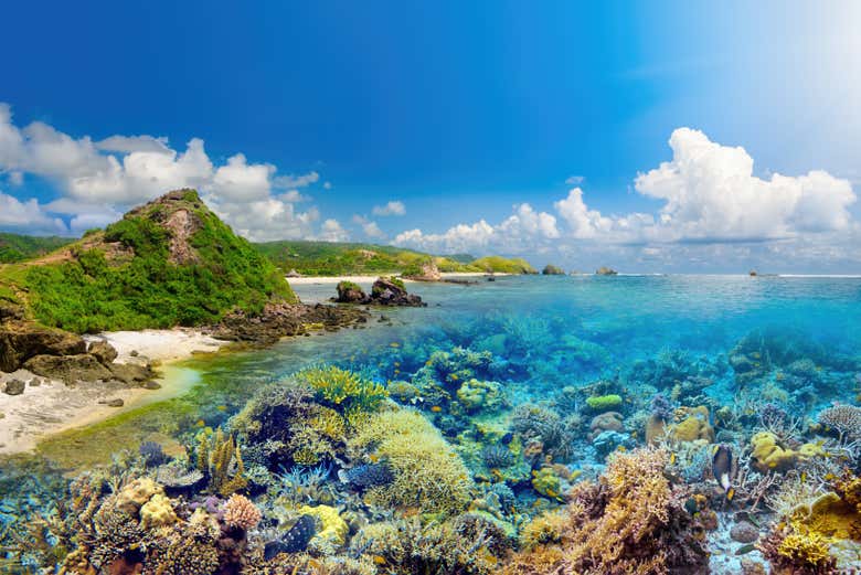 Traslado hasta Lombok en lancha rápida