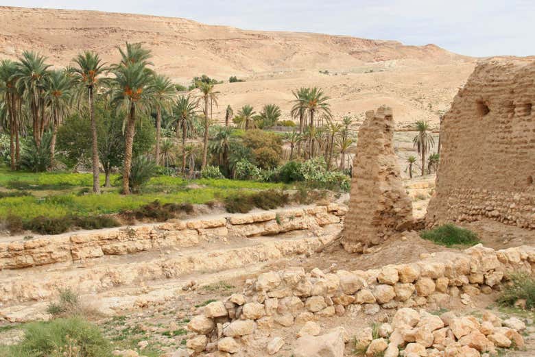Excursión a Chebika, Tamerza y Midès