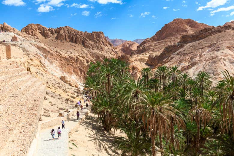 Excursión a Chebika, Tamerza y Midès