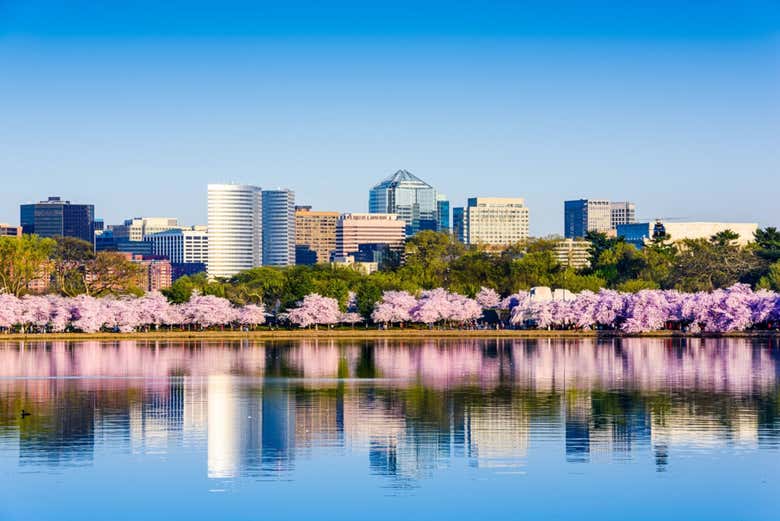 Excursión a Washington DC y Filadelfia