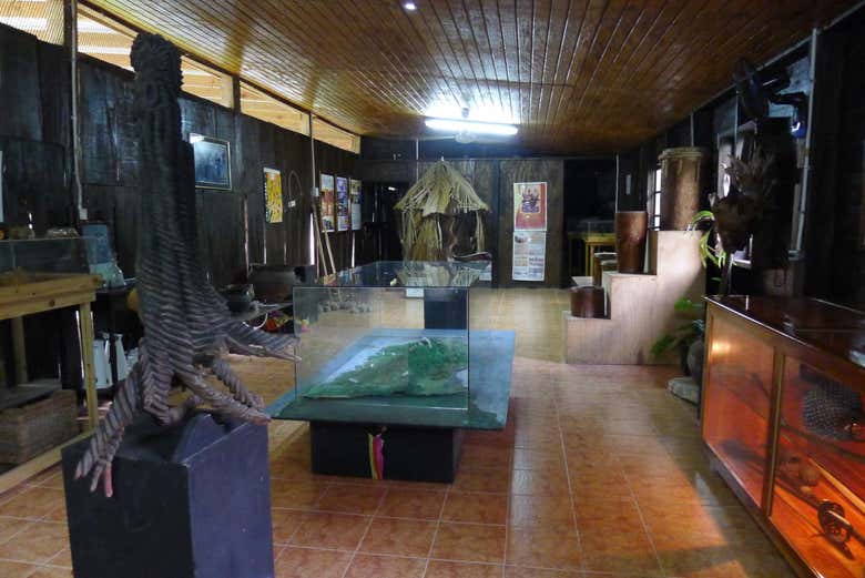 Excursión a un pueblo cimarrón