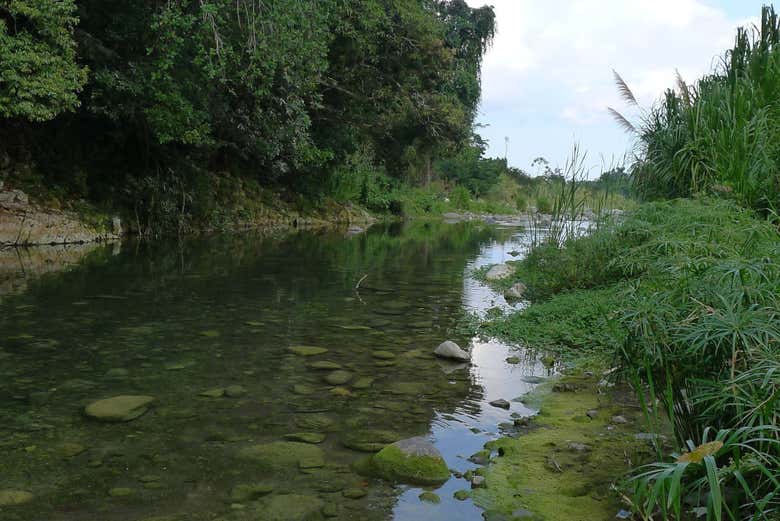 Excursión a un pueblo cimarrón - Galería 2
