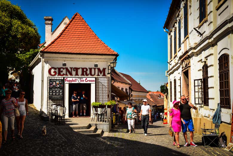 Excursión a Szentendre