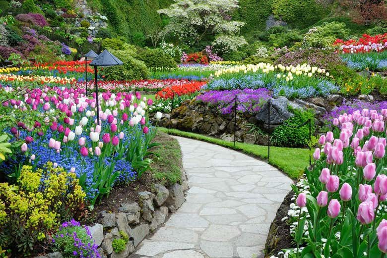 Excursión a los jardines Butchart