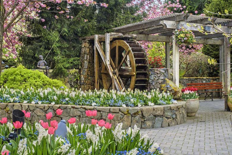 Excursión a los jardines Butchart