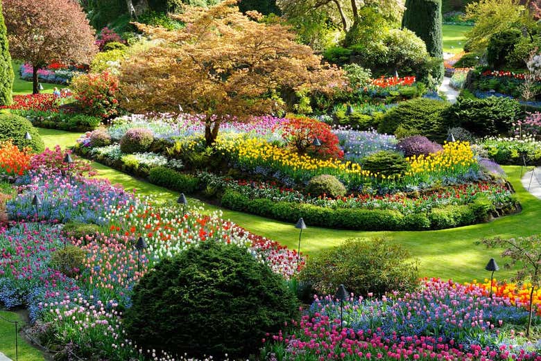 Excursión a los jardines Butchart
