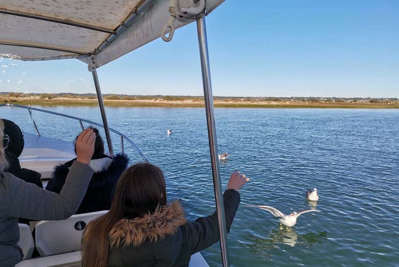 Paseo en barco por las marismas de Isla Cristina y Punta del Moral