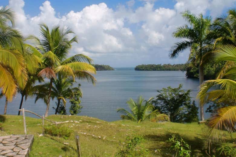 Excursión al Parque Nacional Alejandro Humboldt