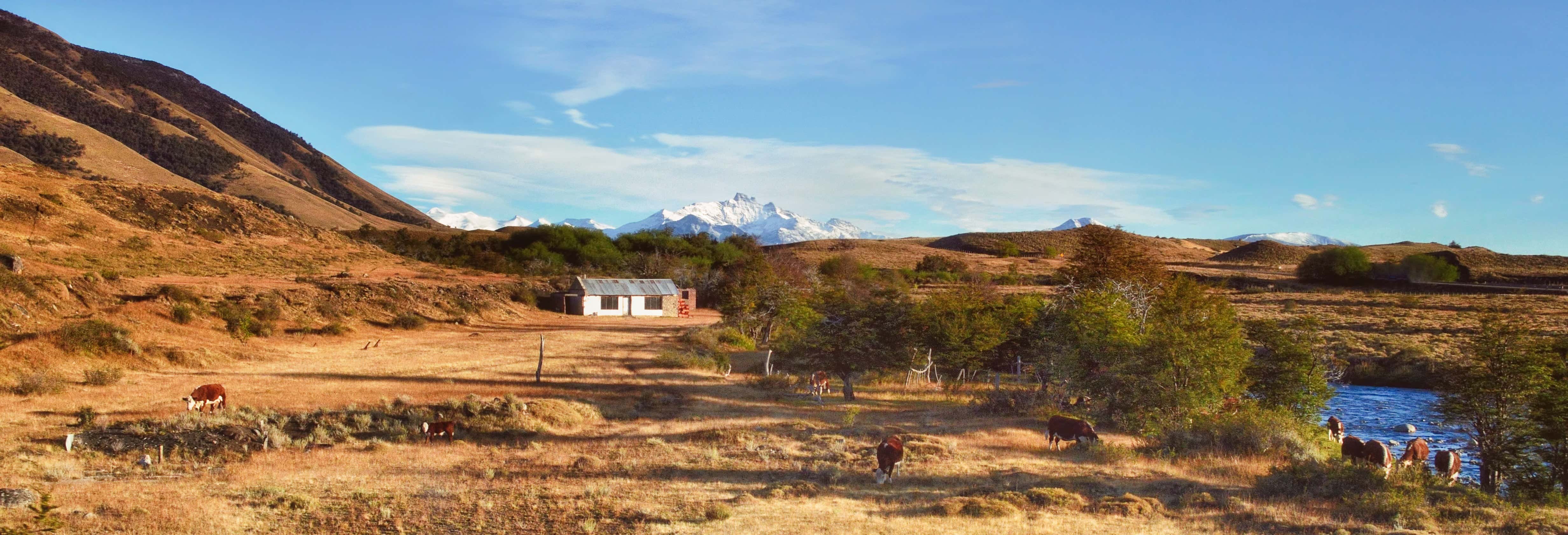 Excursión a la Estancia El Galpón