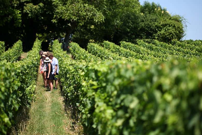 Excursión privada a Saint-Émilion