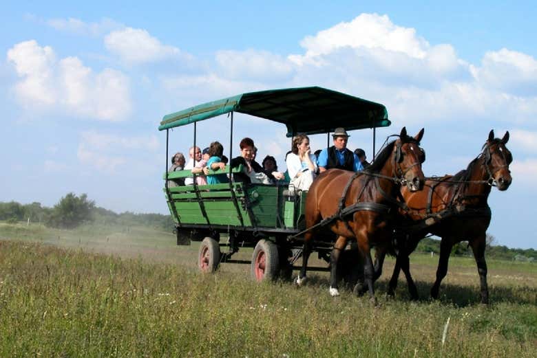 Excursión a Kecskemét y la Puszta + Espectáculo ecuestre