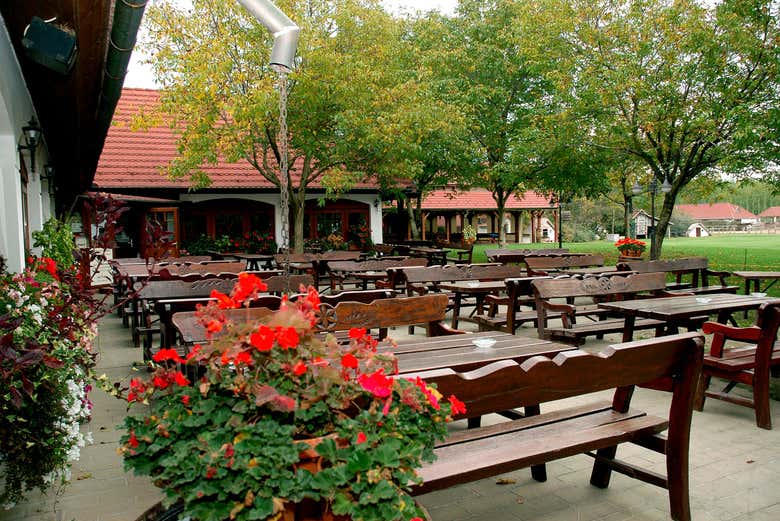 Excursión a Kecskemét y la Puszta + Espectáculo ecuestre