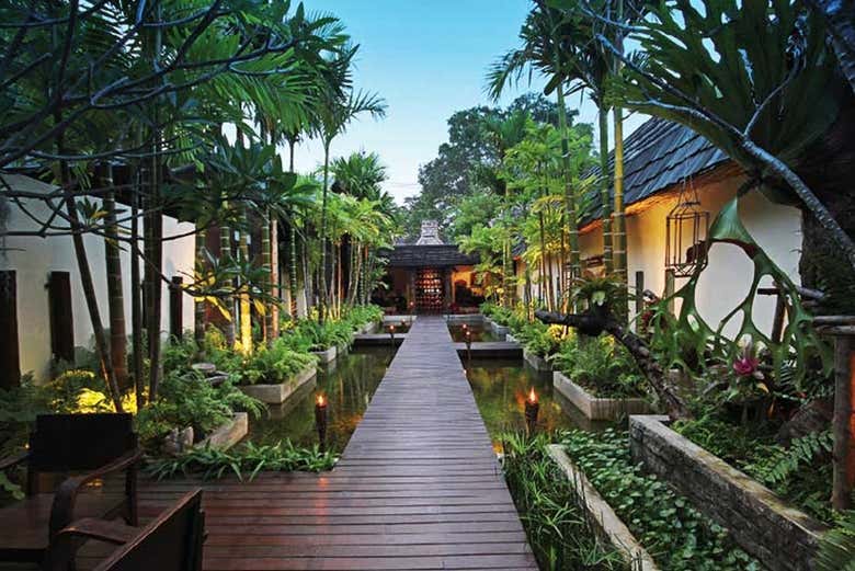 Masaje tailandés en Chiang Mai - Galería 1