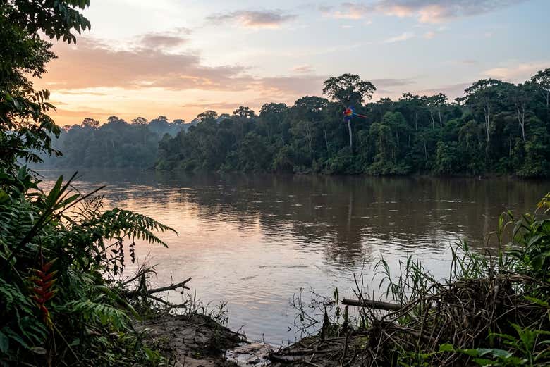 Tour de 2 días por el Amazonas