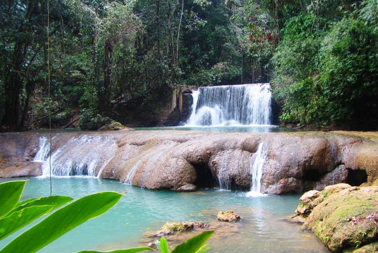 Excursión a Río Negro y Cataratas YS - Galería 1