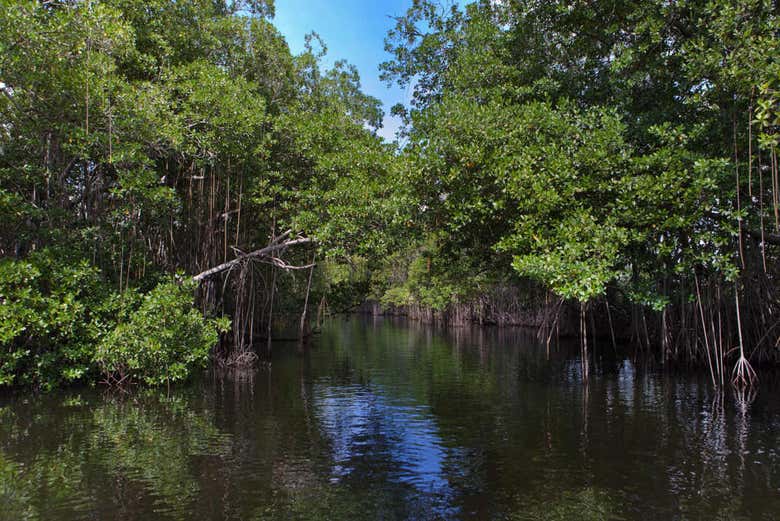 Excursión a Río Negro y Cataratas YS - Galería 2