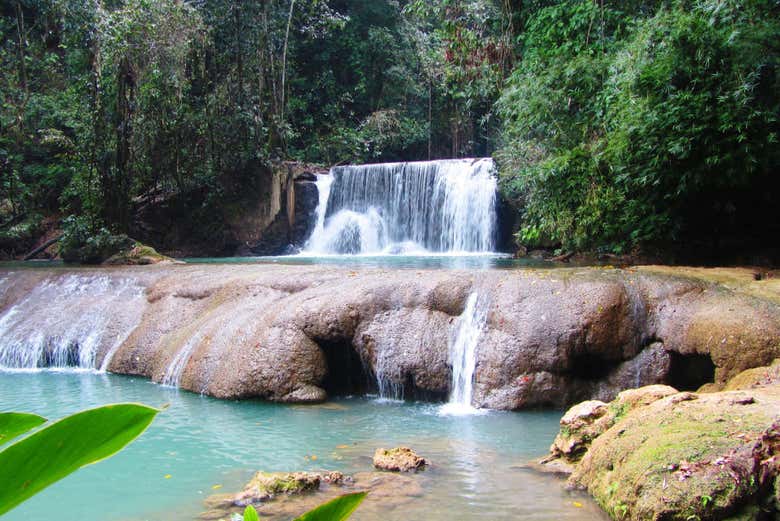 Excursión a Río Negro y Cataratas YS - Galería 1