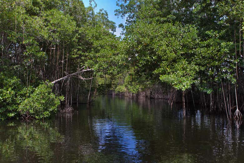Excursión a Río Negro y Cataratas YS - Galería 1