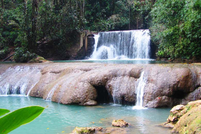 Excursión a Río Negro y Cataratas YS - Galería 2