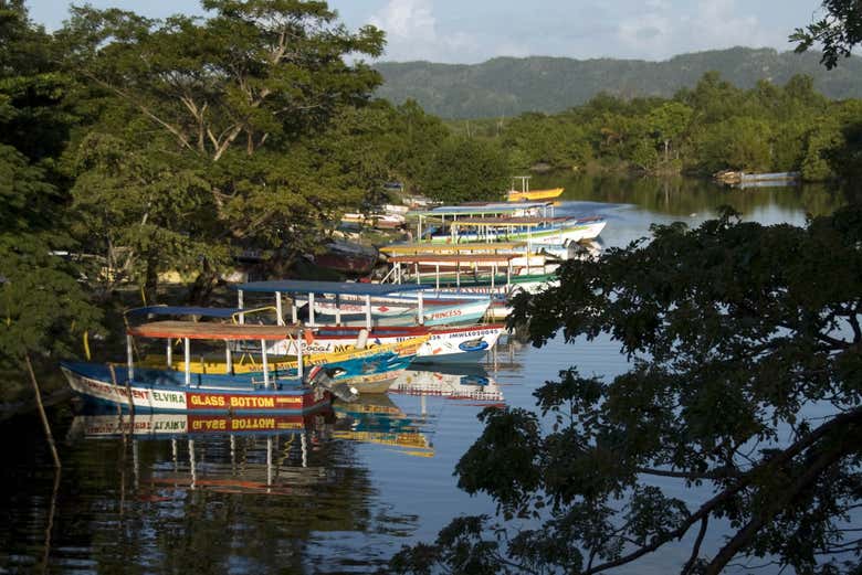 Excursión a Río Negro y Cataratas YS